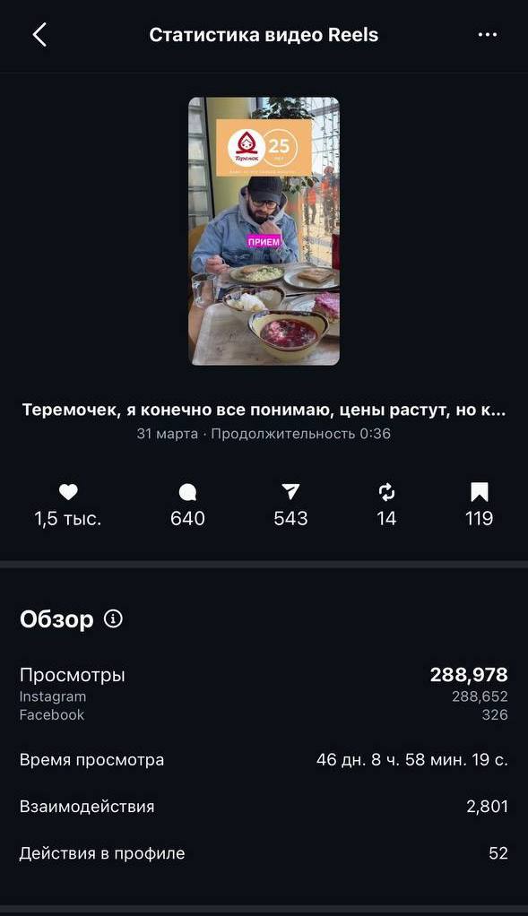Показатели инстаграм Теремок